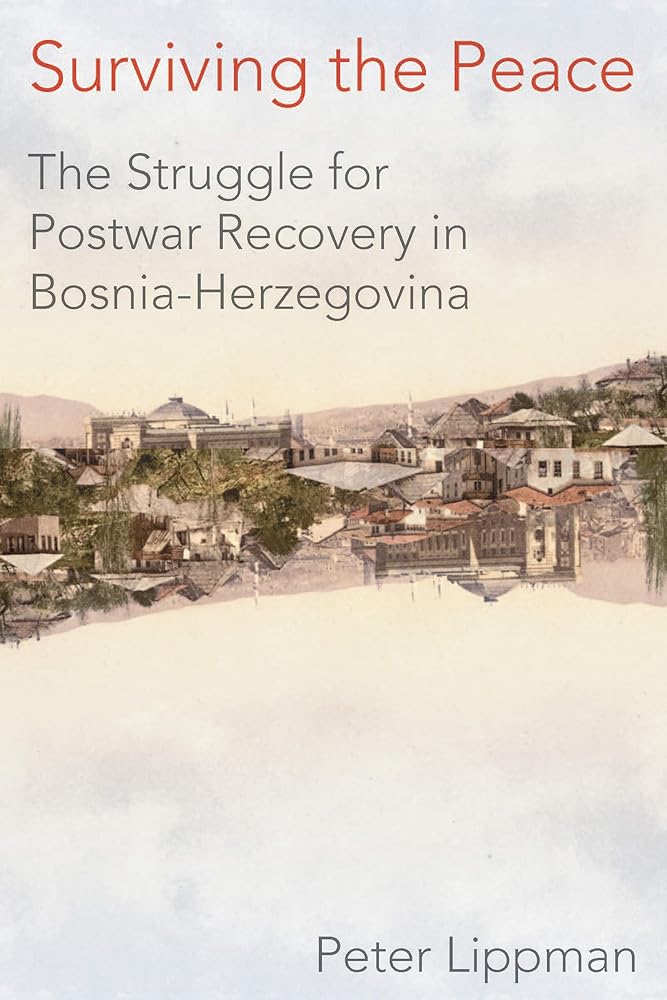 Surviving the Peace: The Struggle for Postwar Recovery in Bosnia-Herzegovina cover image