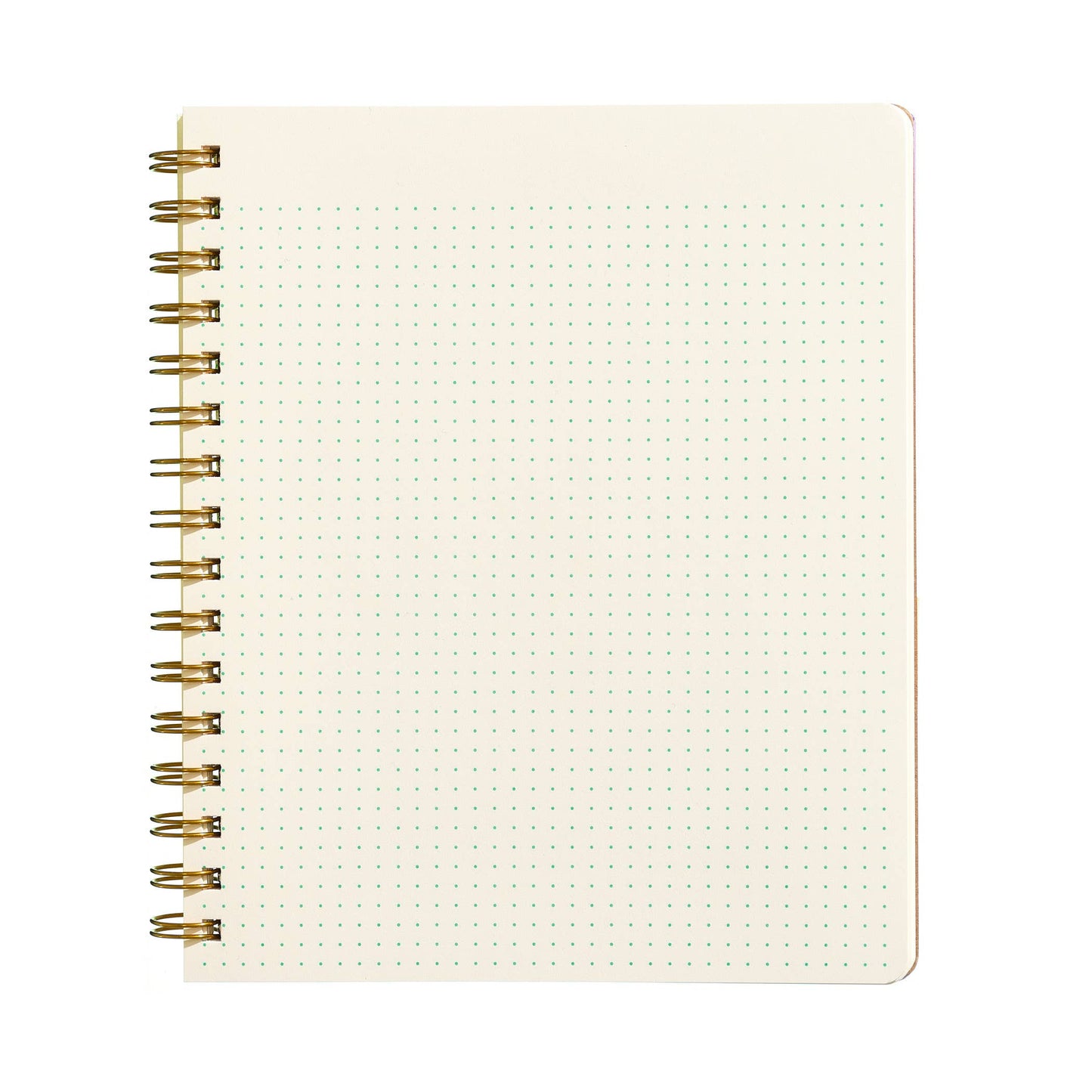 Standard Notebook - Pool