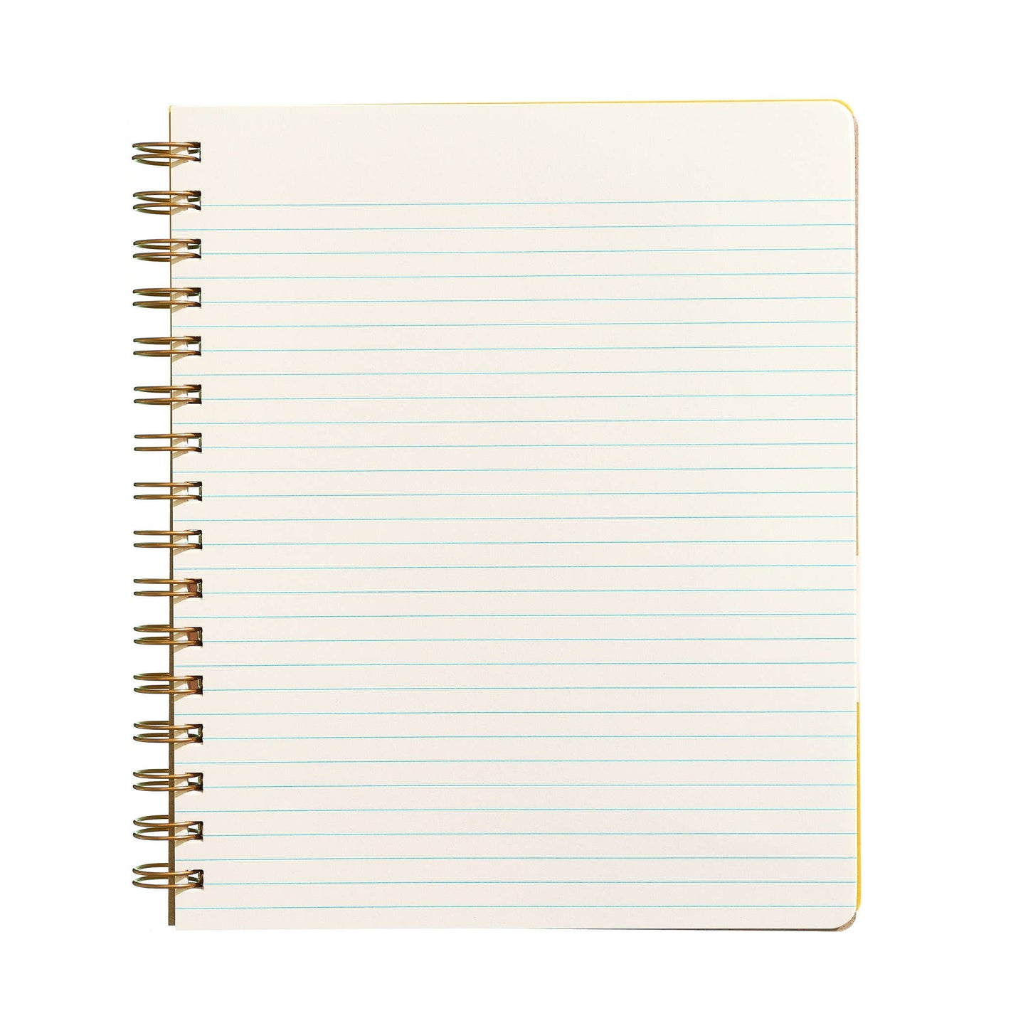 Standard Notebook - Mint