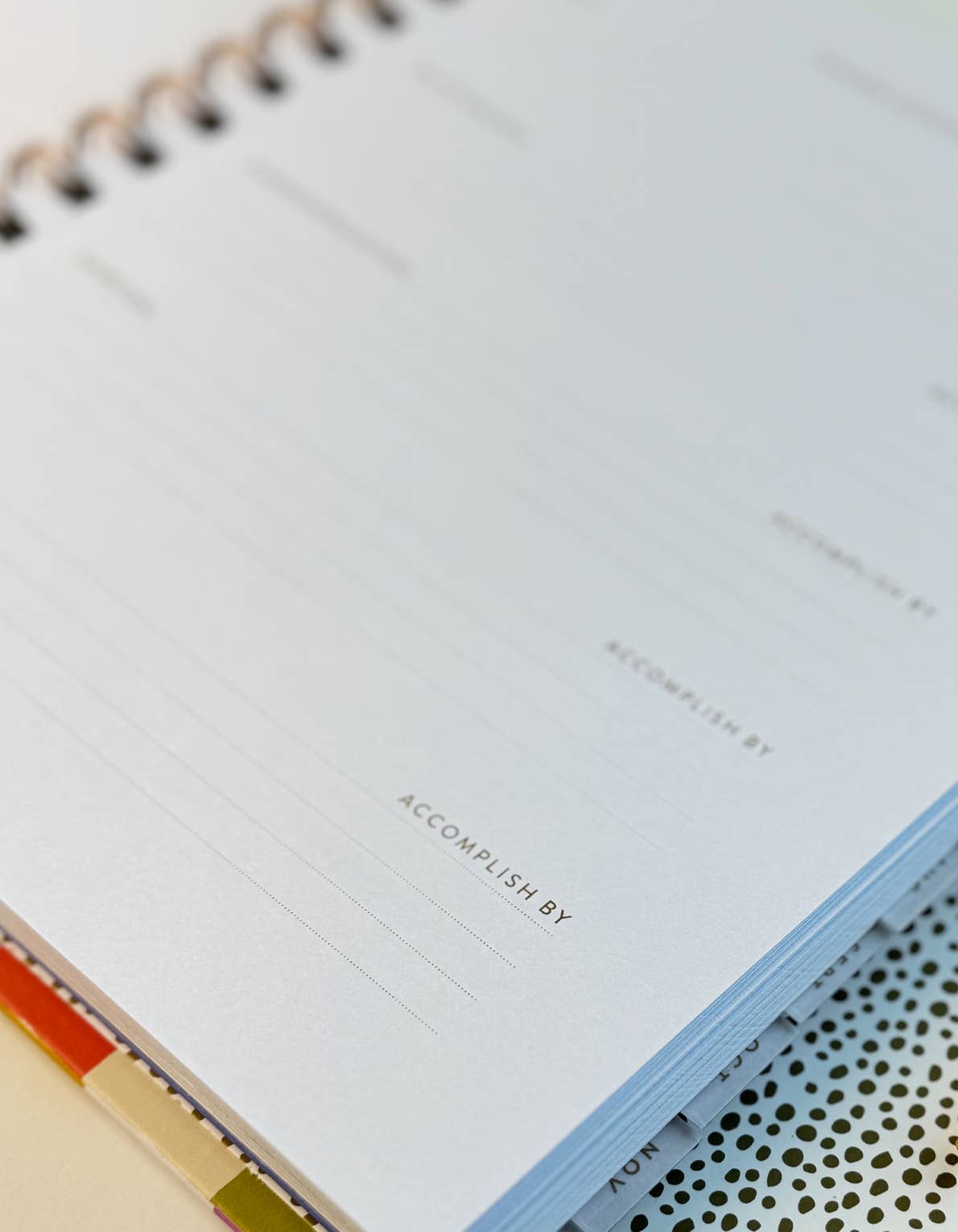 2025 Rainbow Check Planner • Pre-Order