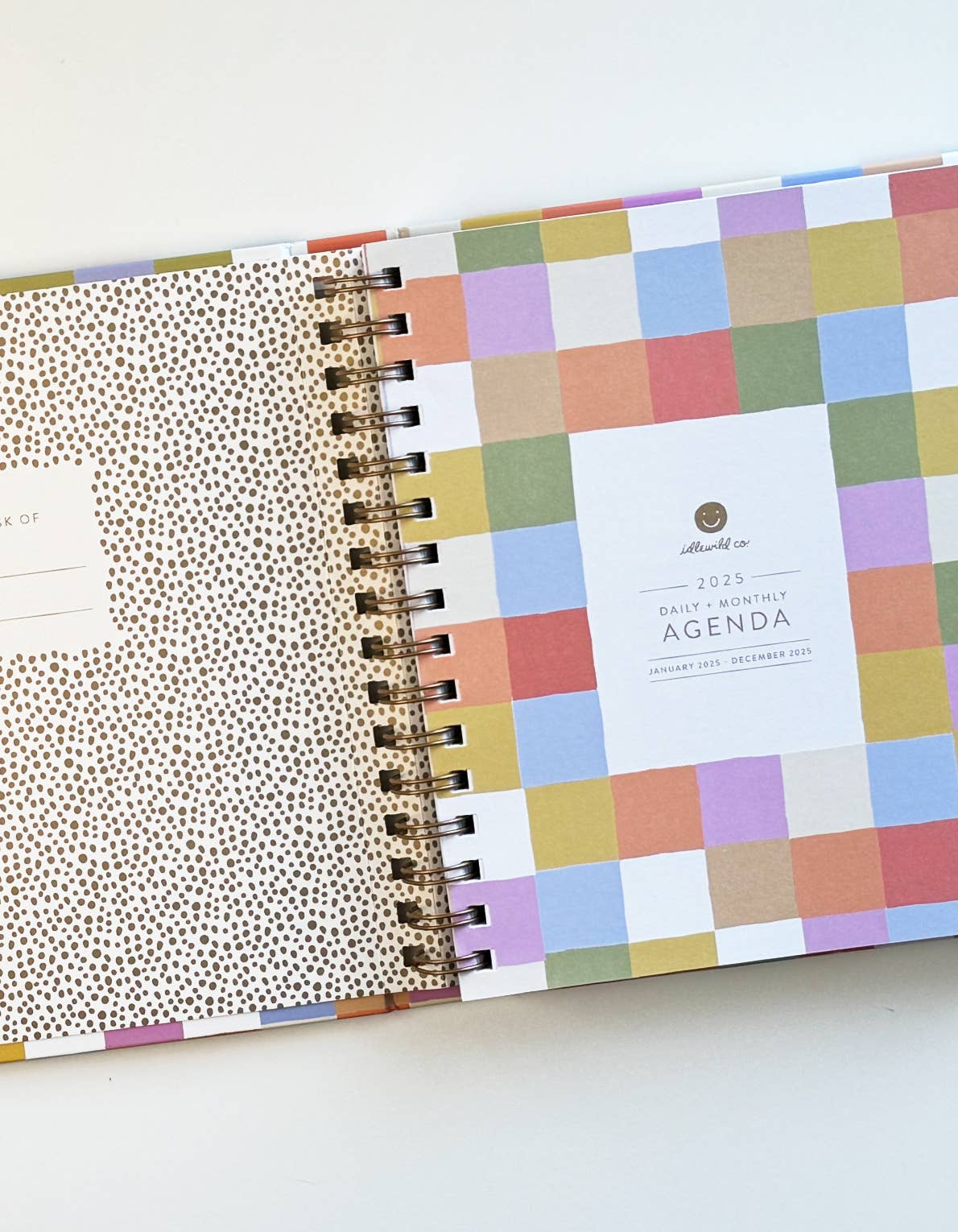 2025 Rainbow Check Planner • Pre-Order