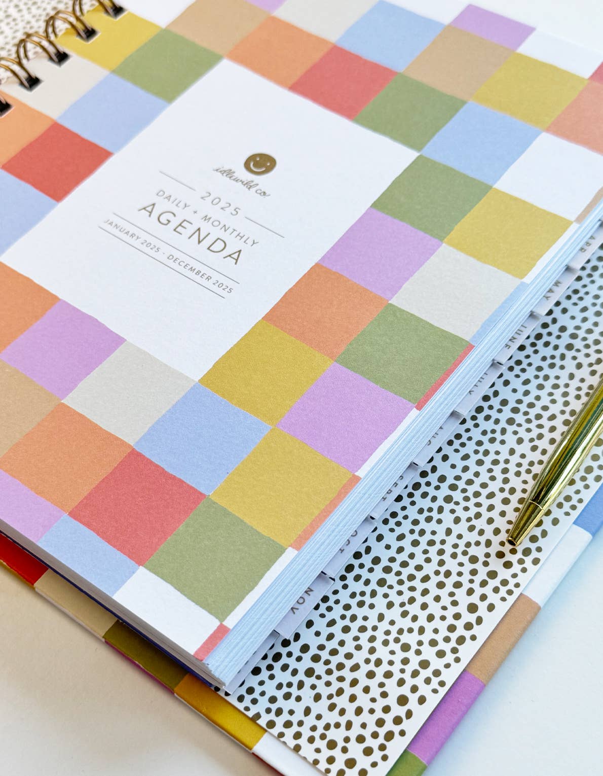 2025 Rainbow Check Planner • Pre-Order