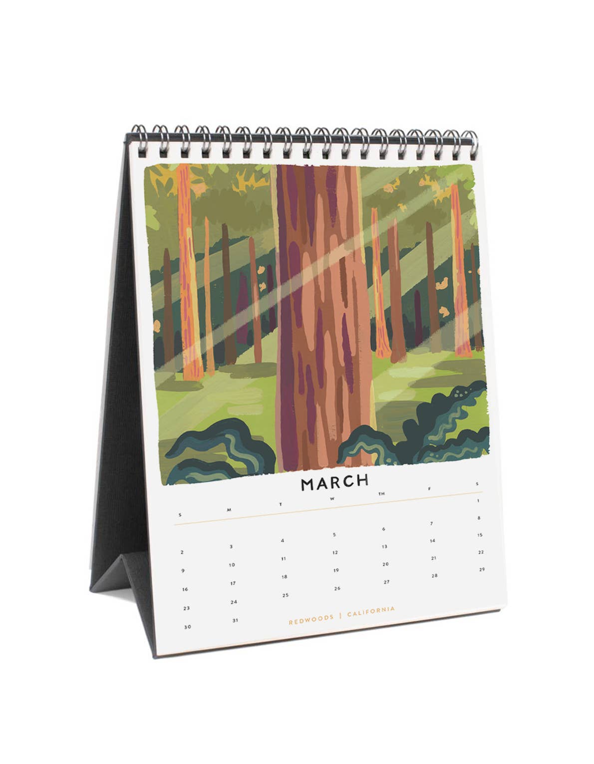 National Parks 2025 Desk Calendar