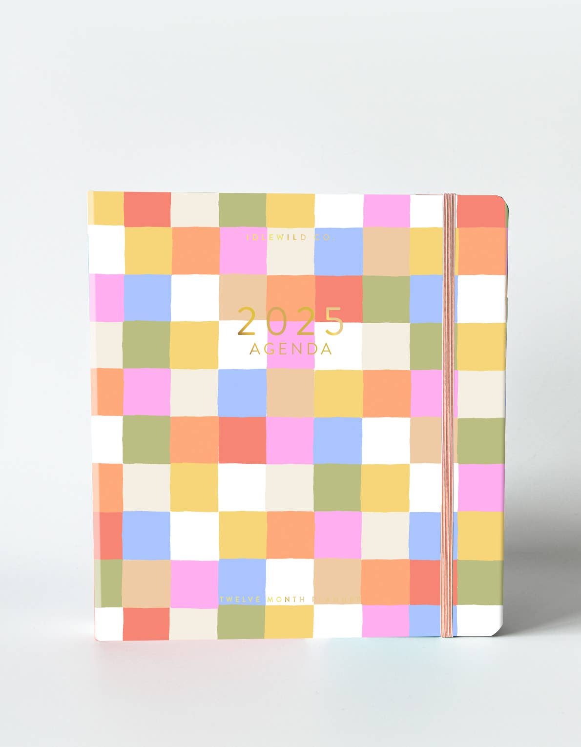 2025 Rainbow Check Planner • Pre-Order