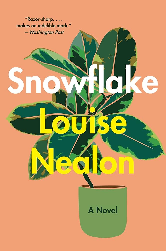 Snowflake: A Haunting Irish Literary Debut of Coming-of-Age, Family, Tragedy, and Mental Health in Rural Ireland cover image