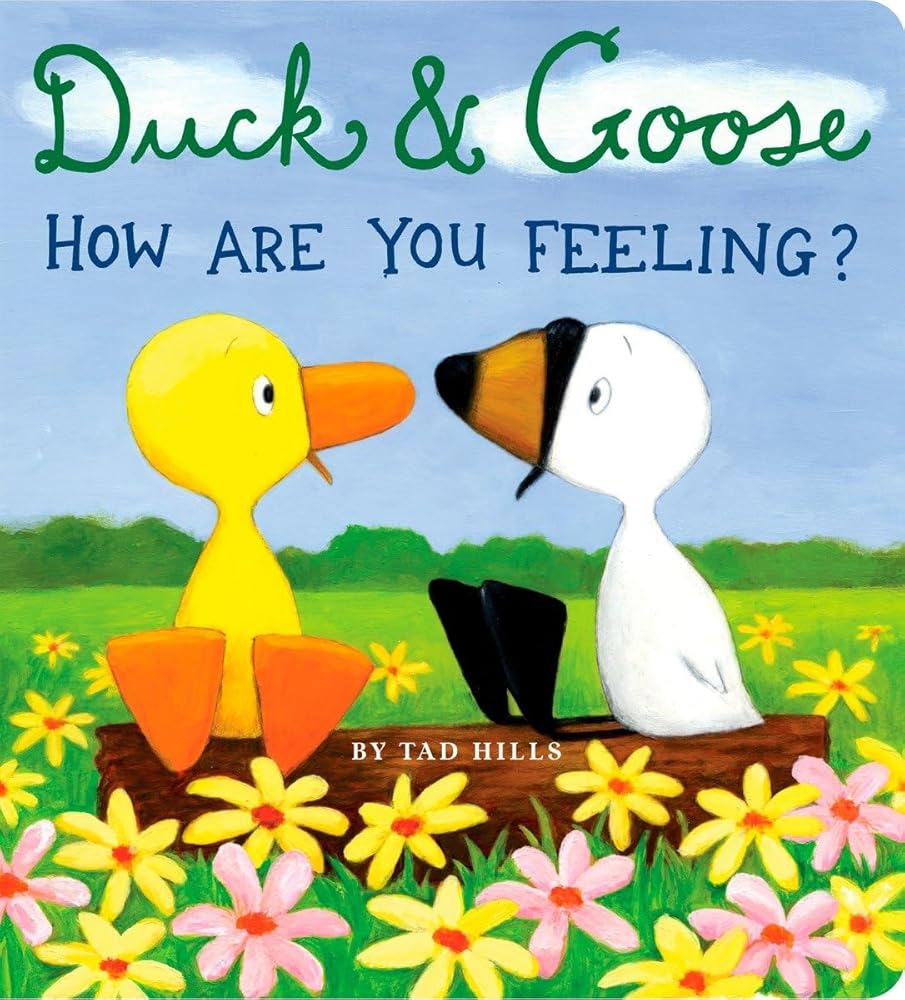 Duck & Goose, How Are You Feeling? cover image