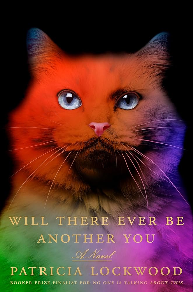 Will There Ever Be Another You: A Novel cover image