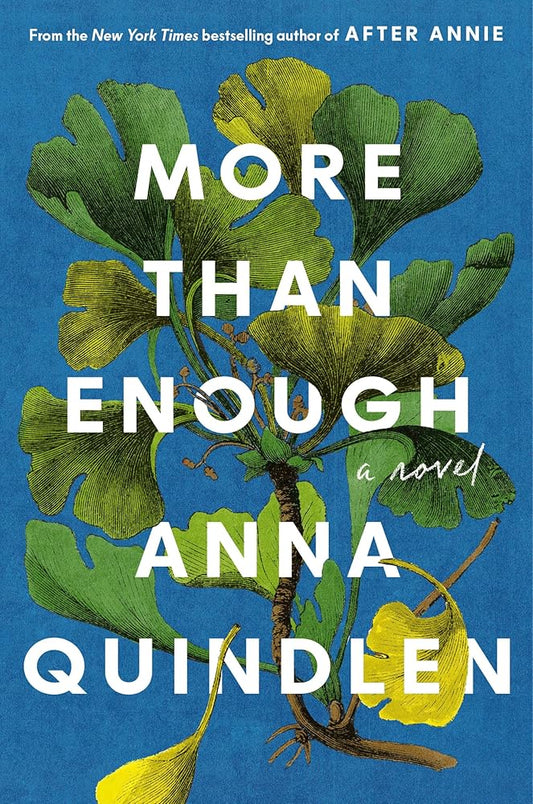 More Than Enough: A Novel cover image