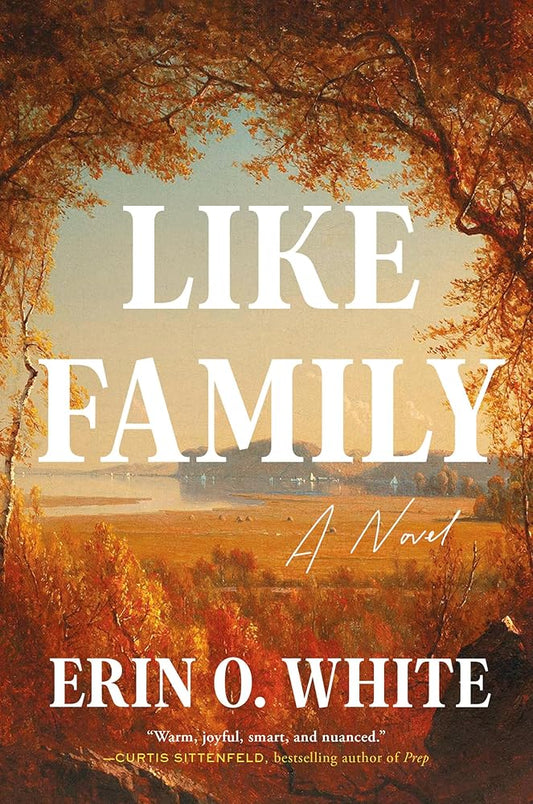 Like Family: A Novel cover image