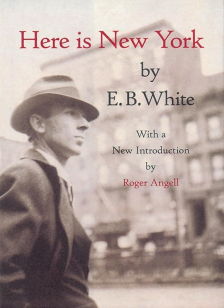 Here is New York cover image