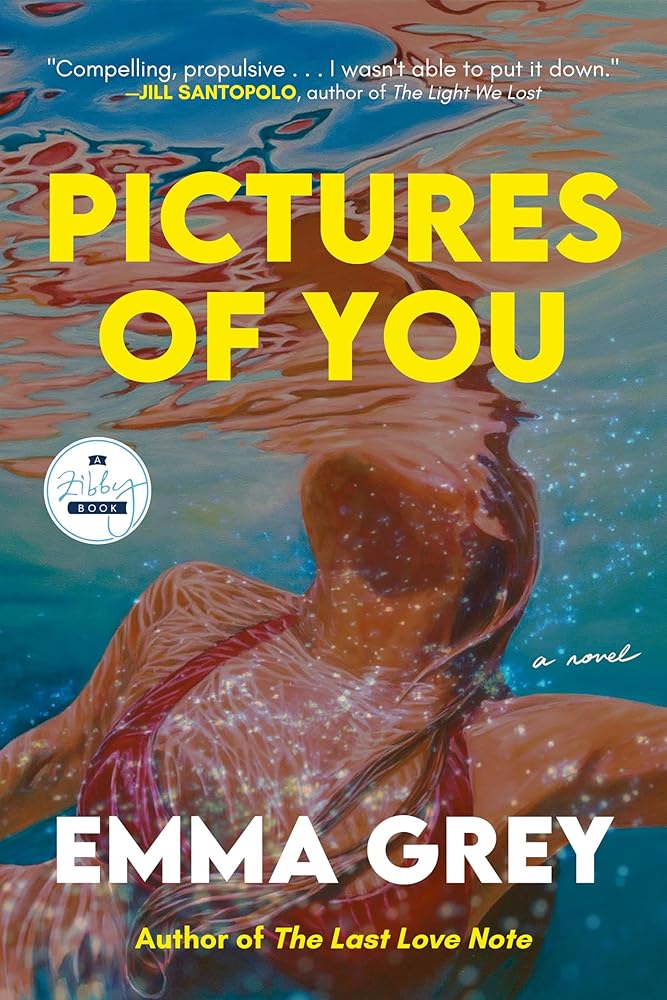 Pictures of You: A Novel cover image