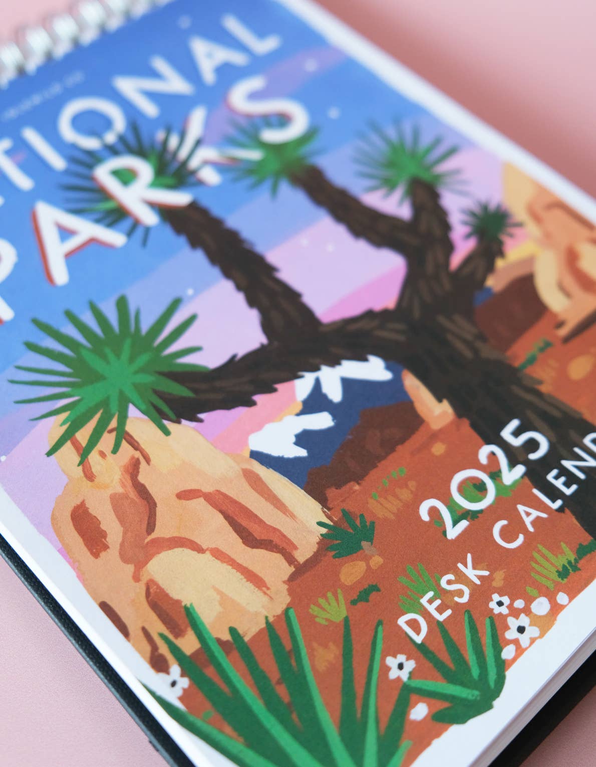 National Parks 2025 Desk Calendar