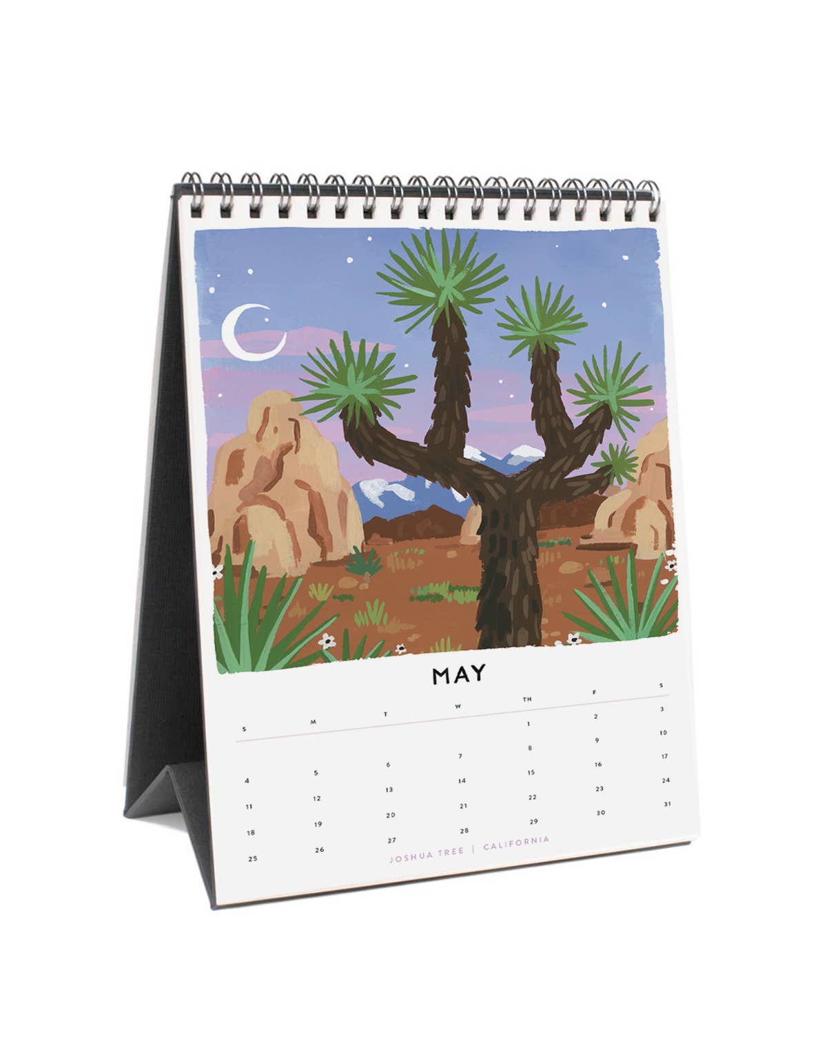 National Parks 2025 Desk Calendar
